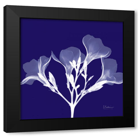 Crocuss White on Purple Black Modern Wood Framed Art Print with Double Matting by Koetsier, Albert