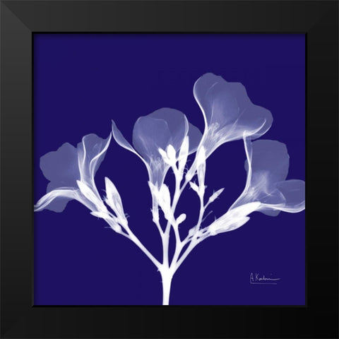 Crocuss White on Purple Black Modern Wood Framed Art Print by Koetsier, Albert