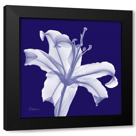 Lily White on Purple Black Modern Wood Framed Art Print by Koetsier, Albert