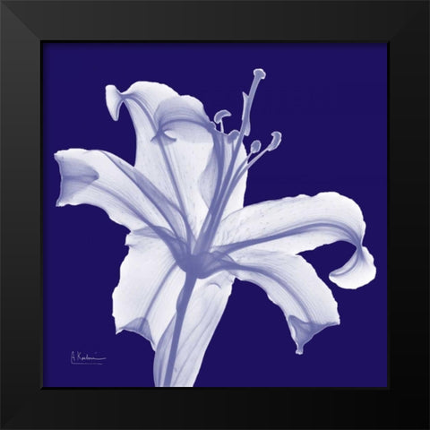 Lily White on Purple Black Modern Wood Framed Art Print by Koetsier, Albert