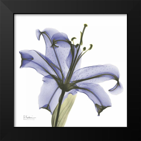 Lily in  Purple Black Modern Wood Framed Art Print by Koetsier, Albert