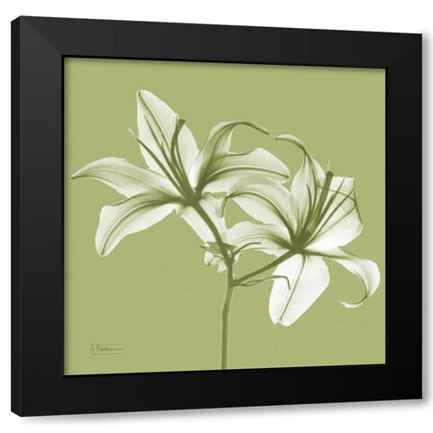 Twin Lilies on Pale Green Black Modern Wood Framed Art Print with Double Matting by Koetsier, Albert