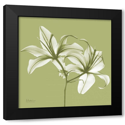 Twin Lilies on Pale Green Black Modern Wood Framed Art Print by Koetsier, Albert