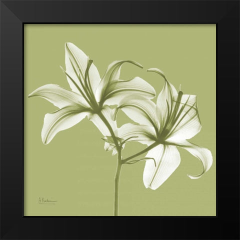 Twin Lilies on Pale Green Black Modern Wood Framed Art Print by Koetsier, Albert