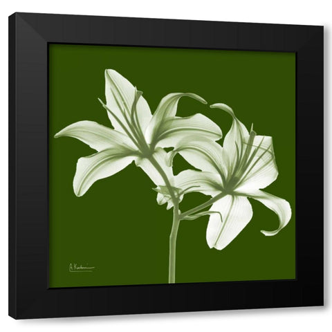 Twin Lilies on Green Black Modern Wood Framed Art Print with Double Matting by Koetsier, Albert