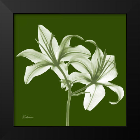 Twin Lilies on Green Black Modern Wood Framed Art Print by Koetsier, Albert