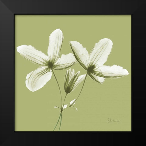 Twin Buds on Pale Green Black Modern Wood Framed Art Print by Koetsier, Albert