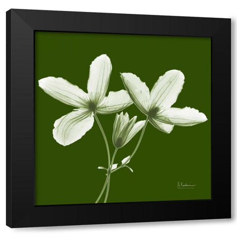 Twin Buds on Green Black Modern Wood Framed Art Print with Double Matting by Koetsier, Albert