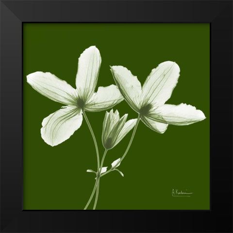 Twin Buds on Green Black Modern Wood Framed Art Print by Koetsier, Albert