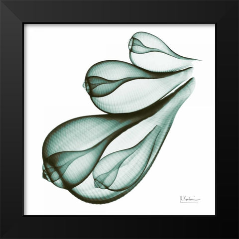 Sea Shells in Green Black Modern Wood Framed Art Print by Koetsier, Albert