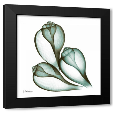 Sea Shells in Green 2 Black Modern Wood Framed Art Print by Koetsier, Albert