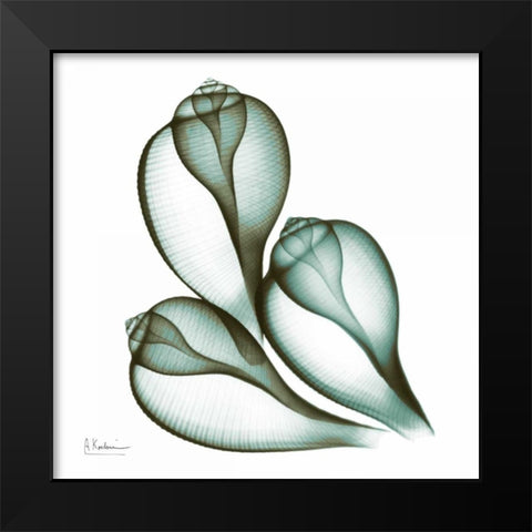 Sea Shells in Green 2 Black Modern Wood Framed Art Print by Koetsier, Albert