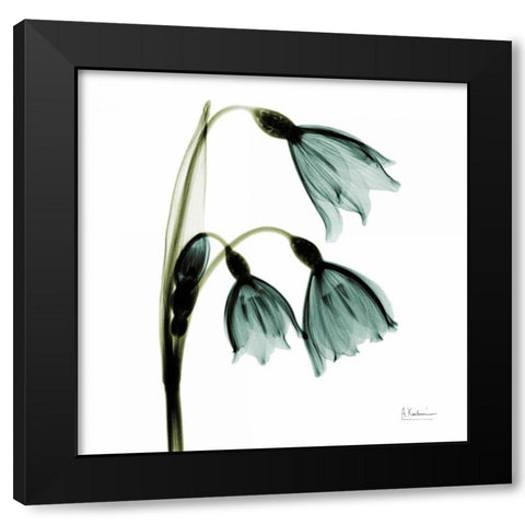 Three Tulips in Green Black Modern Wood Framed Art Print with Double Matting by Koetsier, Albert