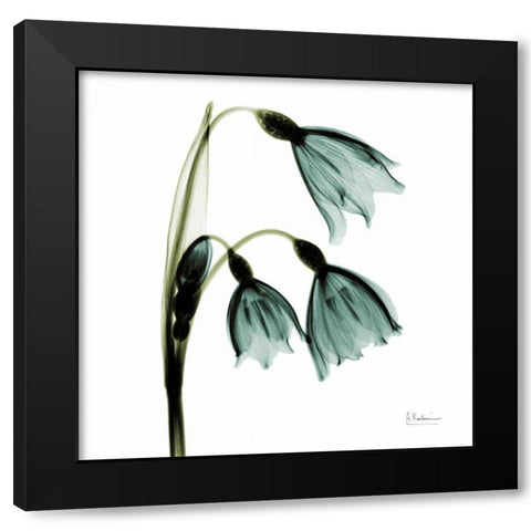 Three Tulips in Green Black Modern Wood Framed Art Print by Koetsier, Albert