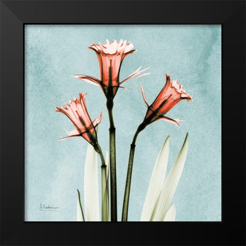 Daffodil Believe Black Modern Wood Framed Art Print by Koetsier, Albert