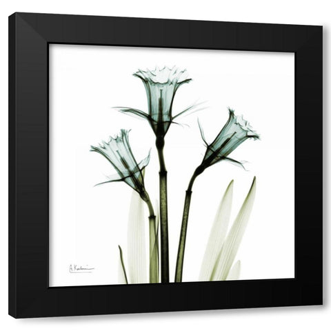 Three Daffodils in Green Black Modern Wood Framed Art Print with Double Matting by Koetsier, Albert