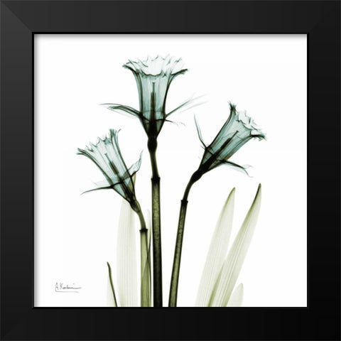 Three Daffodils in Green Black Modern Wood Framed Art Print by Koetsier, Albert