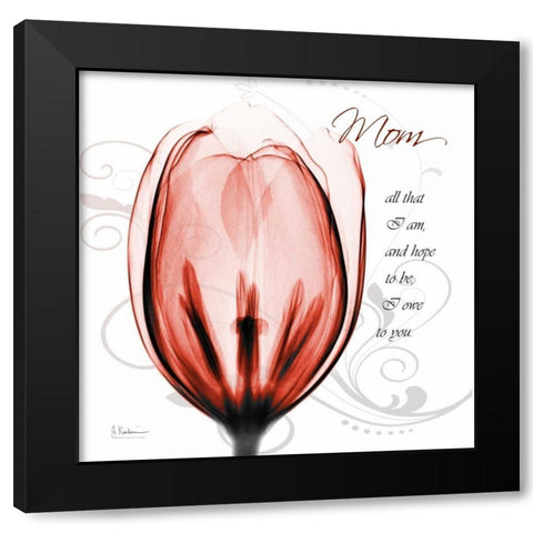 Happy Tulip in Red - Mom Black Modern Wood Framed Art Print with Double Matting by Koetsier, Albert