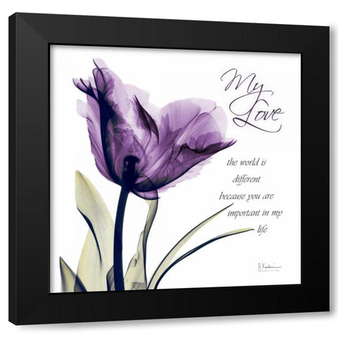 My Love - Purple Tulip Black Modern Wood Framed Art Print with Double Matting by Koetsier, Albert