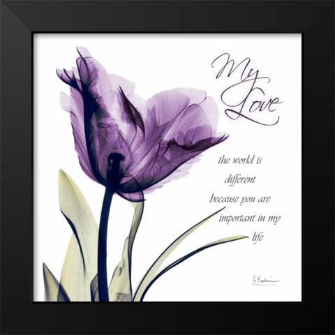 My Love - Purple Tulip Black Modern Wood Framed Art Print by Koetsier, Albert