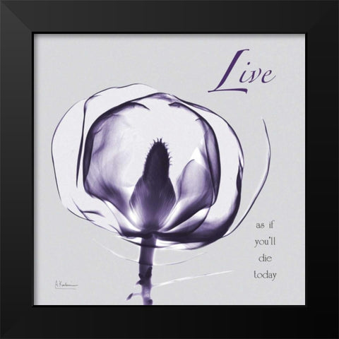 Plum Magnolia Live Black Modern Wood Framed Art Print by Koetsier, Albert