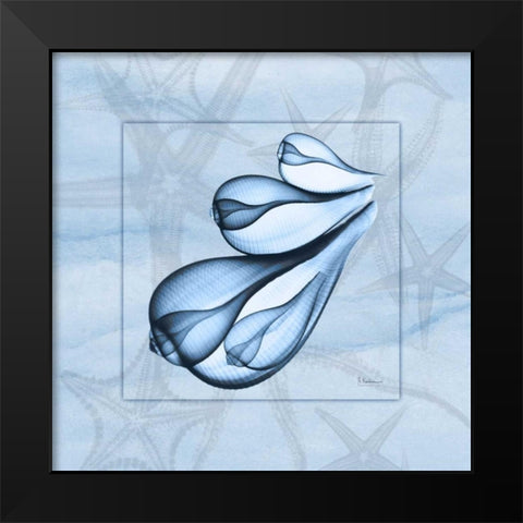 Triple Shells on Blue Black Modern Wood Framed Art Print by Koetsier, Albert