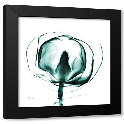 Gracious Green Bulb Black Modern Wood Framed Art Print with Double Matting by Koetsier, Albert