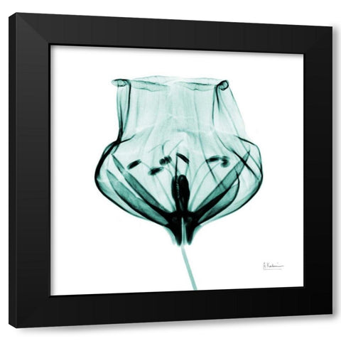 Gracious Green Bulb 2 Black Modern Wood Framed Art Print with Double Matting by Koetsier, Albert