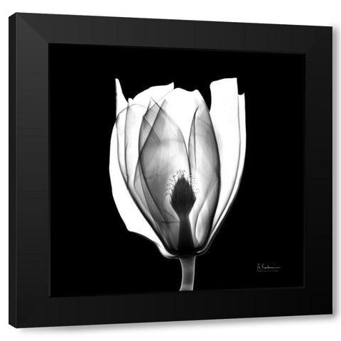 Beautiful Bulb on Black Black Modern Wood Framed Art Print by Koetsier, Albert