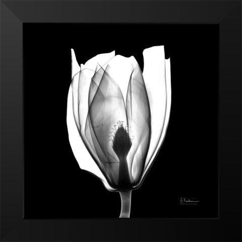 Beautiful Bulb on Black Black Modern Wood Framed Art Print by Koetsier, Albert