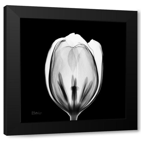 Beautiful Bulb on Black 2 Black Modern Wood Framed Art Print with Double Matting by Koetsier, Albert