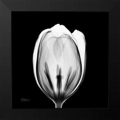 Beautiful Bulb on Black 2 Black Modern Wood Framed Art Print by Koetsier, Albert