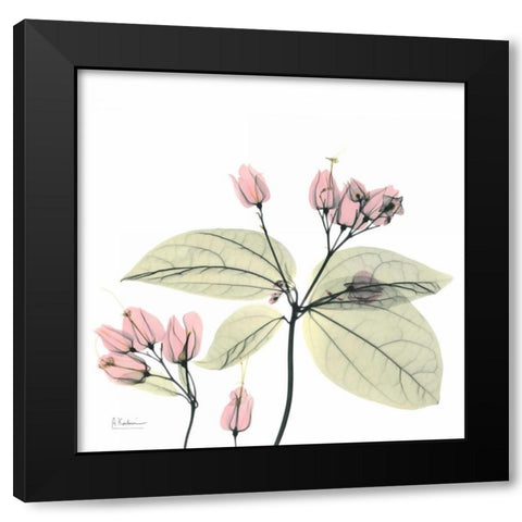 Pretty Pink Blooms 2 Black Modern Wood Framed Art Print with Double Matting by Koetsier, Albert