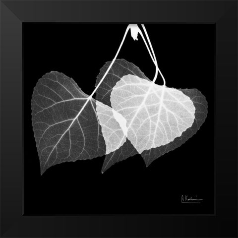 Three Leaves Three on Black Black Modern Wood Framed Art Print by Koetsier, Albert