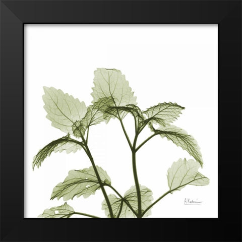 Green Leaves in Bloom Black Modern Wood Framed Art Print by Koetsier, Albert