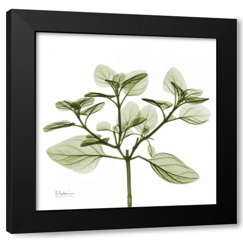 Green Leaves in Bloom 2 Black Modern Wood Framed Art Print with Double Matting by Koetsier, Albert