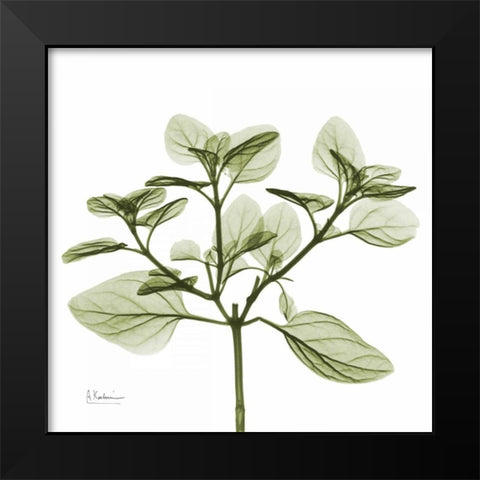 Green Leaves in Bloom 2 Black Modern Wood Framed Art Print by Koetsier, Albert