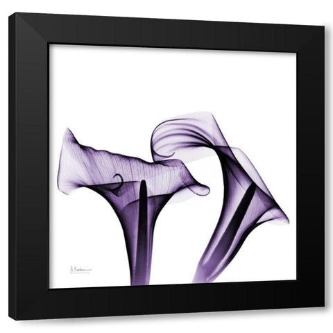 Violet Calla Twins Black Modern Wood Framed Art Print with Double Matting by Koetsier, Albert