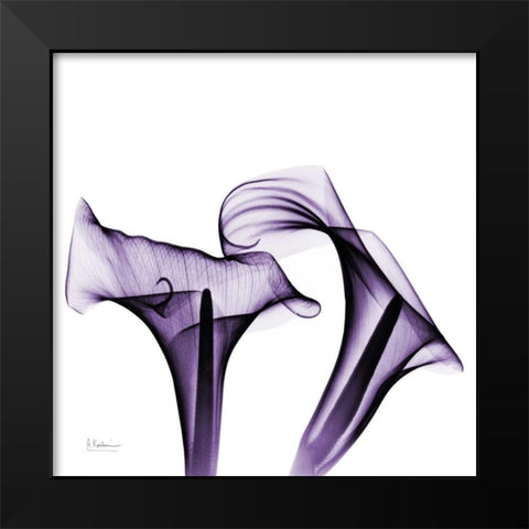 Violet Calla Twins Black Modern Wood Framed Art Print by Koetsier, Albert