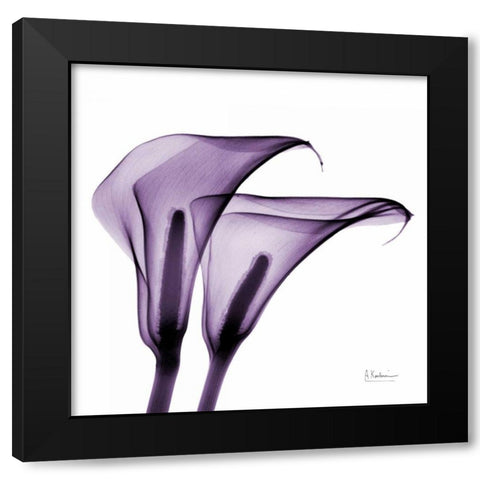 Violet Calla Twins 2 Black Modern Wood Framed Art Print with Double Matting by Koetsier, Albert