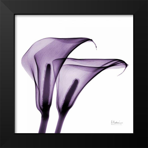 Violet Calla Twins 2 Black Modern Wood Framed Art Print by Koetsier, Albert