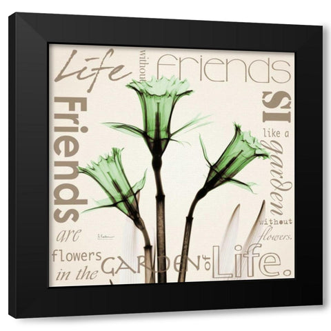 Daffodil Life Black Modern Wood Framed Art Print with Double Matting by Koetsier, Albert