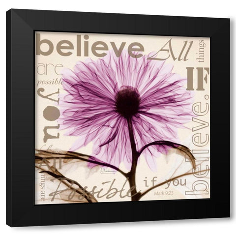 Chrysanthemum Believe Black Modern Wood Framed Art Print with Double Matting by Koetsier, Albert