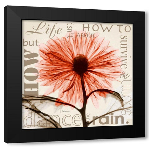 Chrysanthemum Life Black Modern Wood Framed Art Print with Double Matting by Koetsier, Albert