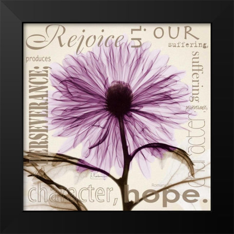 Rejoice - Violet Chrysanthemum Black Modern Wood Framed Art Print by Koetsier, Albert