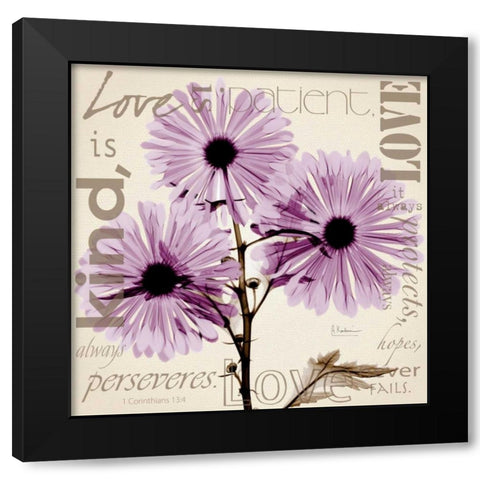 Love - Violet Chrysanthemum Black Modern Wood Framed Art Print with Double Matting by Koetsier, Albert