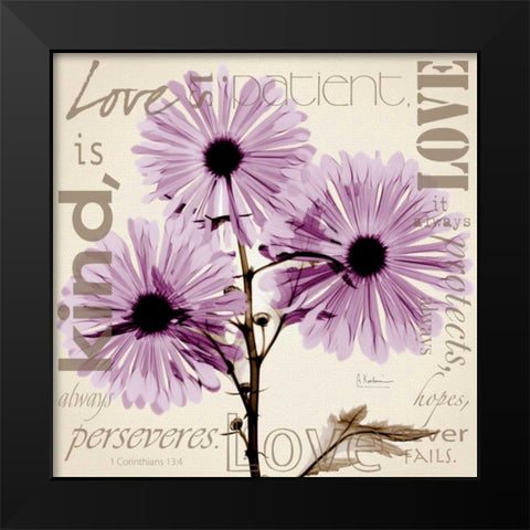 Love - Violet Chrysanthemum Black Modern Wood Framed Art Print by Koetsier, Albert