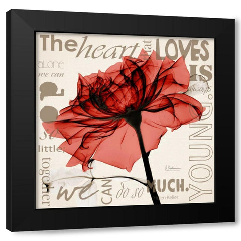 Red Rose Love Black Modern Wood Framed Art Print by Koetsier, Albert