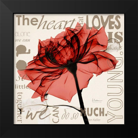 Red Rose Love Black Modern Wood Framed Art Print by Koetsier, Albert