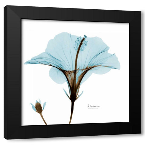 Hibiscus Wave Black Modern Wood Framed Art Print with Double Matting by Koetsier, Albert